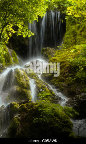 Cascata sul fiume nella foresta verde Foto Stock