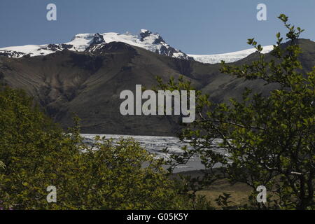 Skaftafellsjökull è uno dei ghiacciai di uscita (linguette sul ghiacciaio del Vatnajökull ice cap. Skaftafell Foto Stock