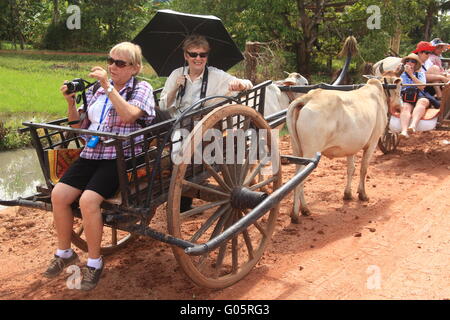 I turisti nel grafico di bue Foto Stock