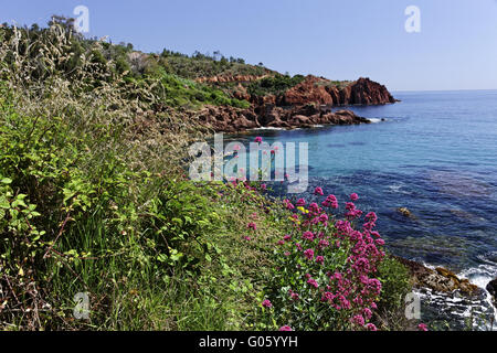 Esterel masif con rocce di porfido, Cote d'Azur Foto Stock