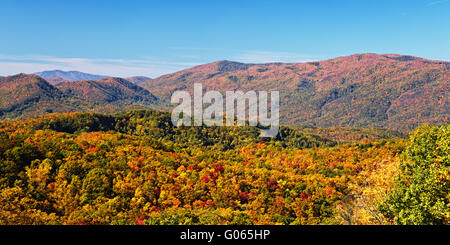 I colori dell'autunno boschi nelle Smoky Mountains National Park Foto Stock