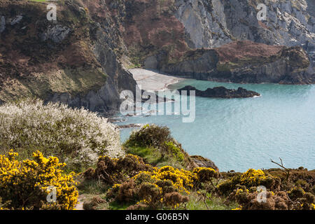 Cwn Pwll, Pembrokeshire da Il Pembrokeshire sentiero costiero, Isola di dinas Foto Stock
