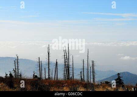 Vista sulla valle del Reno dalla Foresta Nera Foto Stock