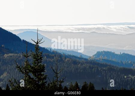 Vista dalla Hornisgrinde Foresta Nera in Germania Foto Stock