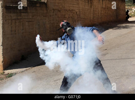 Nablus, West Bank, Territorio palestinese. 29 apr, 2016. Un manifestante palestinese getta indietro una lacrima bombola del gas sparati dalle forze di sicurezza israeliane durante scontri a seguito di una dimostrazione contro l'espropriazione delle terre palestinesi da parte di Israele nel villaggio di Kfar Qaddum, nei pressi di Nablus, nei territori occupati della Cisgiordania. © Nedal Eshtayah APA/images/ZUMA filo/Alamy Live News Foto Stock