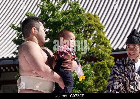 Tokyo, Giappone. Il 29 aprile, 2016. Il bambino piange Sumo, Naki-Zumo evento si è tenuto presso il tempio Sensoji di Asakusa, dove si trova uno dei più popolari del turismo storico spot in Tokyo. Gli studenti universitari appartenenti al club di Sumo provare a rendere i bambini piangere. Il bambino bawls prima è il vincitore. Oltre cento bambini hanno aderito all'evento. Si è creduto per portare i bambini in buona salute. Credito: Miyoko Fukushima/Alamy Live News Foto Stock