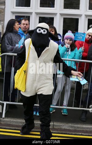 Settle, Yorkshire, Regno Unito. Il 29 aprile, 2016. Una persona vestita come una pecora per il Tour de Yorkshire a Settle, Regno Unito, 29 aprile 2016 Credit: Barbara Cook/Alamy Live News Foto Stock