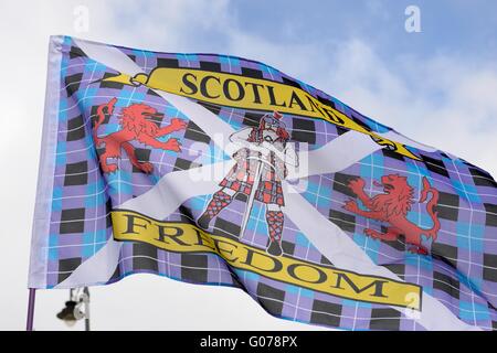 Kelvingrove Park, Glasgow, Scozia. Il 30 marzo, 2016. Una delle tante bandiere scozzese volato a marzo per l'indipendenza attraverso il centro della città di Glasgow. Foto Stock