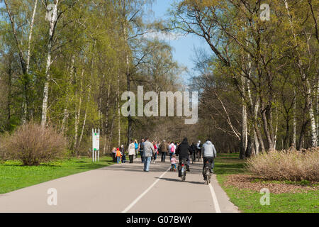 Mosca, Russia. Aprile 30, 2016. Breve stagione hanami - la festa della visione di sakura - giapponese la ciliegia e la prugna alberi - in piena fioritura ha iniziato a Mosca, Russia in questi ultimi giorni di aprile, 2016. Molte persone, comprese le famiglie con bambini piccoli di visitare il giardino giapponese del principale Orto Botanico dell'Accademia Russa delle Scienze a sentire la gioia della molla e l'unità con la natura. Persone non identificate vai al giardino giapponese lungo il viale del giardino botanico. Credito: Alex Immagini/Alamy Live News Foto Stock