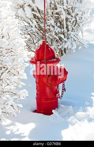 Red idrante di fuoco nella neve Foto Stock