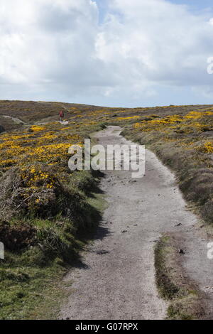 Il sentiero sulla testa Gwennap Foto Stock