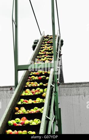 Sul nastro trasportatore per la ulteriore lavorazione mele Foto Stock