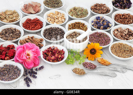 Fiori e erbe selezione medicina usato in alternativa i trattamenti di guarigione in ciotole di porcellana con mortaio e pestello. Foto Stock