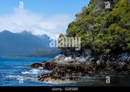 Nuova Zelanda, Isola del Sud, il Parco Nazionale di Fiordland, Dusky Sound. Foto Stock
