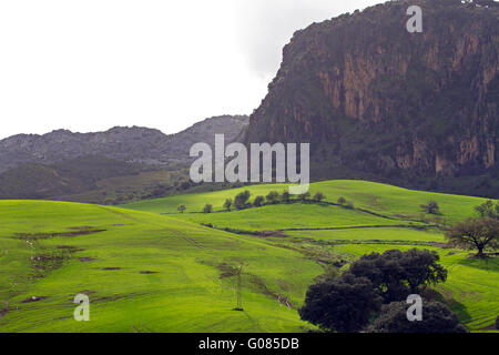 Campi in Andalusia Foto Stock