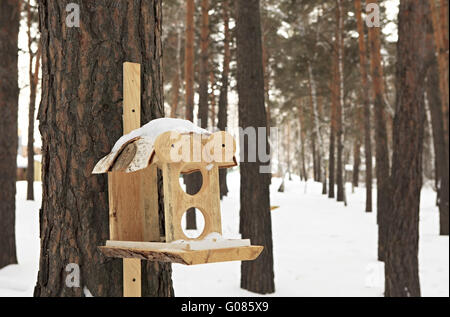 Alimentatore per gli scoiattoli e uccelli in il bosco d'inverno. Foto Stock