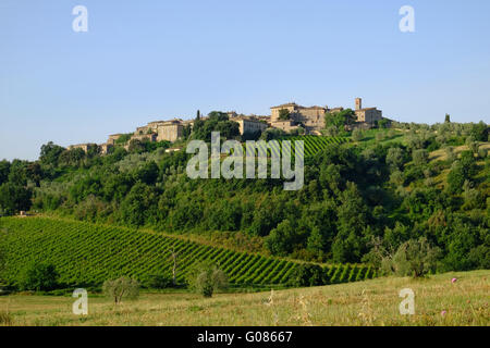 Cittadina collinare della Toscana con vigneti Foto Stock