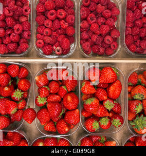 Cesti con fresche succose fragole e lamponi sul mercato contadino Foto Stock