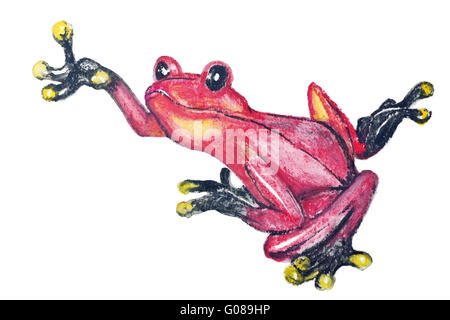 Red poison dart frog dal Sud America isolato - handmade pittura ad acquerello illustrazione su un foglio di carta bianca arte backgroun Foto Stock