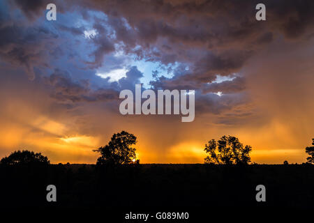 Magnifico tramonto a Pre Rup, intorno a Angkor Wat, Cambogia Foto Stock