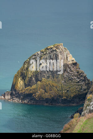 Ago Rock sull isola di dinas è un grande sito di nidificazione di uccelli marini tra cui guillimots, razorbills, fulmars e vari gabbiani. Foto Stock