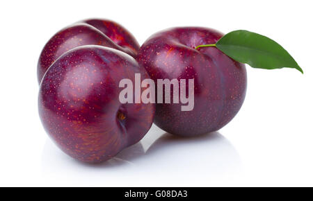 Tre mature viola prugna frutti con foglie verdi isolati Foto Stock