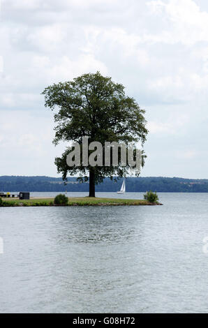 Albero e barca a vela Foto Stock