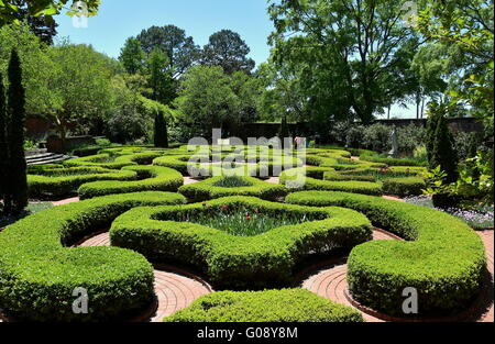 New Bern, North Carolina: agganciato siepi di bosso linea percorsi di mattoni in Maude Moore Latham Memorial Knot Garden Foto Stock