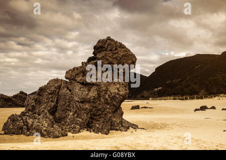 Spiaggia di Trengandin, Helgueras, Cantabria, Trasmiera sulla costa nord della Spagna. Foto Stock