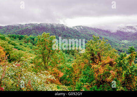 Paesaggi di montagna in stato di Virginia intorno a roanoke Foto Stock
