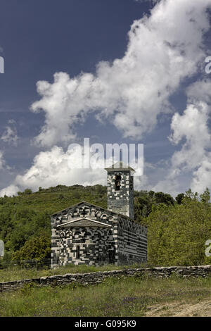 Maniola jurtina, prato farfalla marrone (maschio) Foto Stock