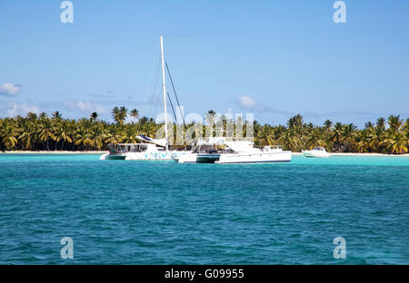 Spiaggia tropicale con palme e oceano e navi Foto Stock