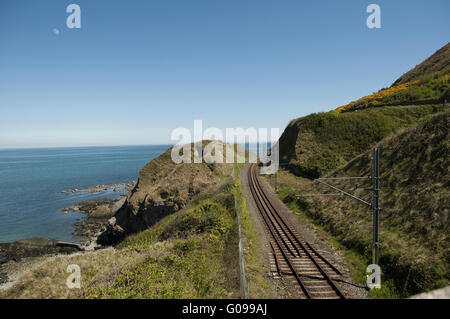 Cliffwalking tra Bray e Graystone, Irlanda Foto Stock