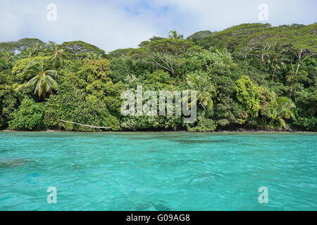 Il paesaggio costiero con acqua turchese e lussureggiante foresta SULLA RIVA INCONTAMINATA, Huahine isola, oceano pacifico, Polinesia Francese Foto Stock
