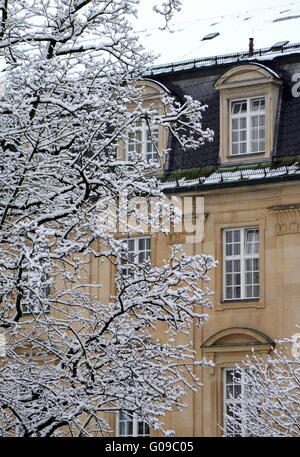 Dettaglio di un Grand classica europea Casa In inverno la neve Foto Stock