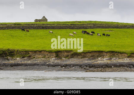 Waterside scenario in corrispondenza della transizione del fiume S Foto Stock