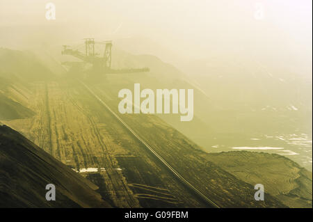 Weanling nel settore minerario Foto Stock