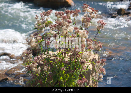 L'acqua da giardino Reden, Schiffweiler, Germania Foto Stock