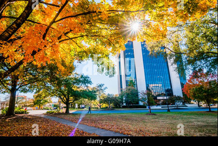 I colori autunnali nel sud della città limiti nel tardo novembre Foto Stock