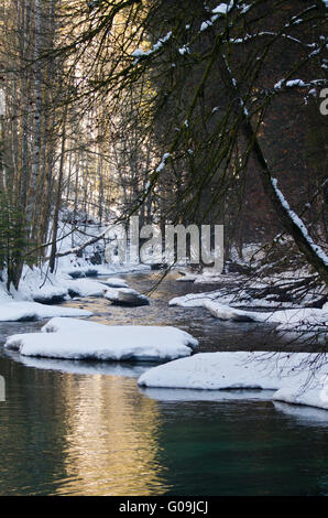 Il fiume dell'anno Argen in inverno Foto Stock