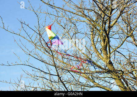 Un albero alto- primavera sole - un bambino snagged kite - sagomata dalla possibilità come un colore brillante uccello incapace di volare lontano Foto Stock