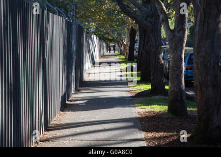 Wilson Street, Darlington in Sydney. Foto Stock