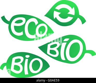 Disegnata a mano set di etichette Eco. Ecologia iscrizioni su foglia. Illustrazione Vettoriale