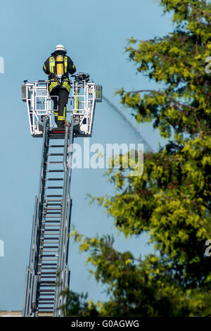 Vigile del fuoco con il casco su grande scala è la cancellazione Foto Stock