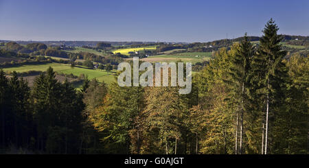 Paesaggio autunnale Elfringhausen, Hattingen, Germania Foto Stock