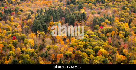 Foglie di autunno serbatoio   Barkhamsted, Connecticut, Stati Uniti d'America Foto Stock