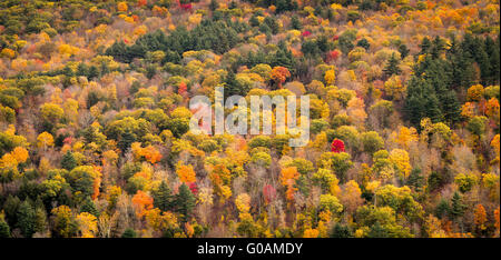 Foglie di autunno serbatoio   Barkhamsted, Connecticut, Stati Uniti d'America Foto Stock