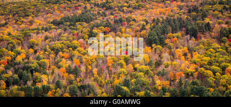 Foglie di autunno serbatoio   Barkhamsted, Connecticut, Stati Uniti d'America Foto Stock