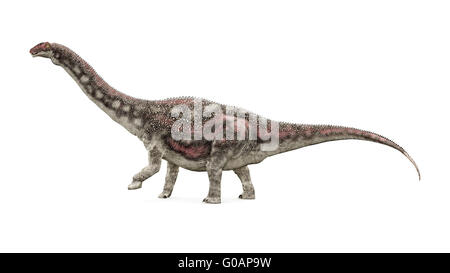Diamantinasaurus dinosauro Foto Stock
