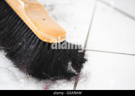La ginestra Foto Stock